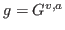 $g=G^{v,a}$