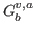 $G^{v,a}_b$