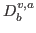 $D^{v,a}_b$